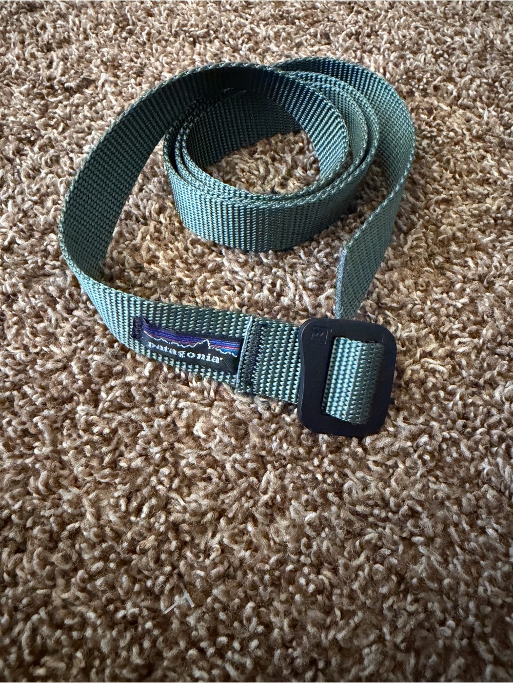 Patagonia Green Friction Belt